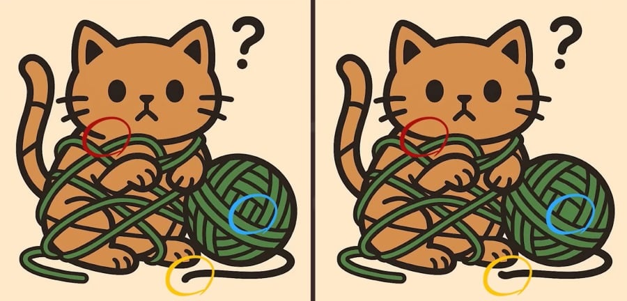 IQ-test: hitta 3 skillnader i en bild av en katt i ett garnnystan på 23 sekunder