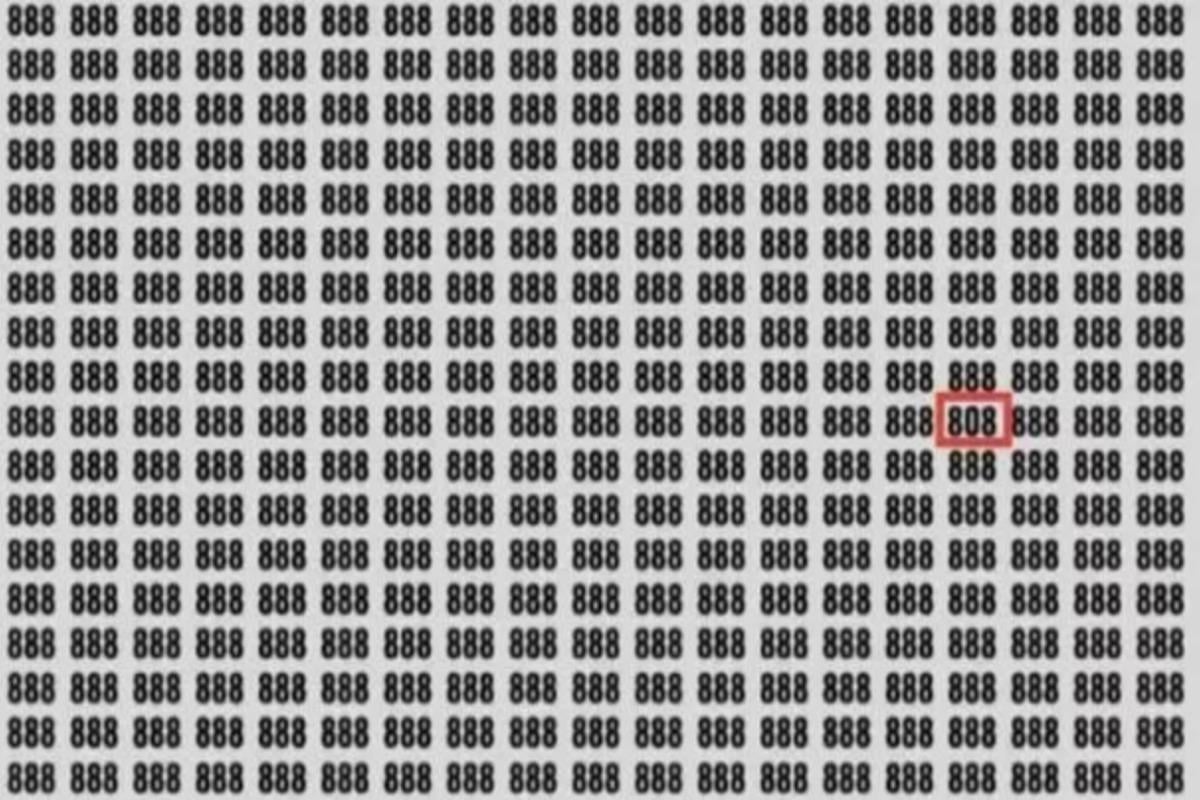 Svaret på gåtan / foto av Jagran Josh