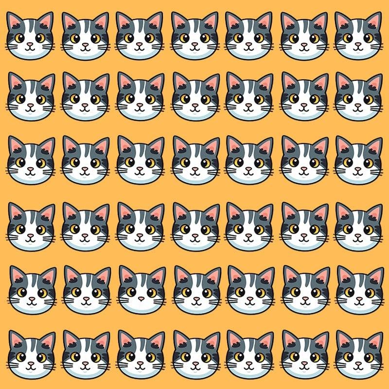 Denna optiska illusion är bara möjlig för personer med grandios IQ / Moje-bild