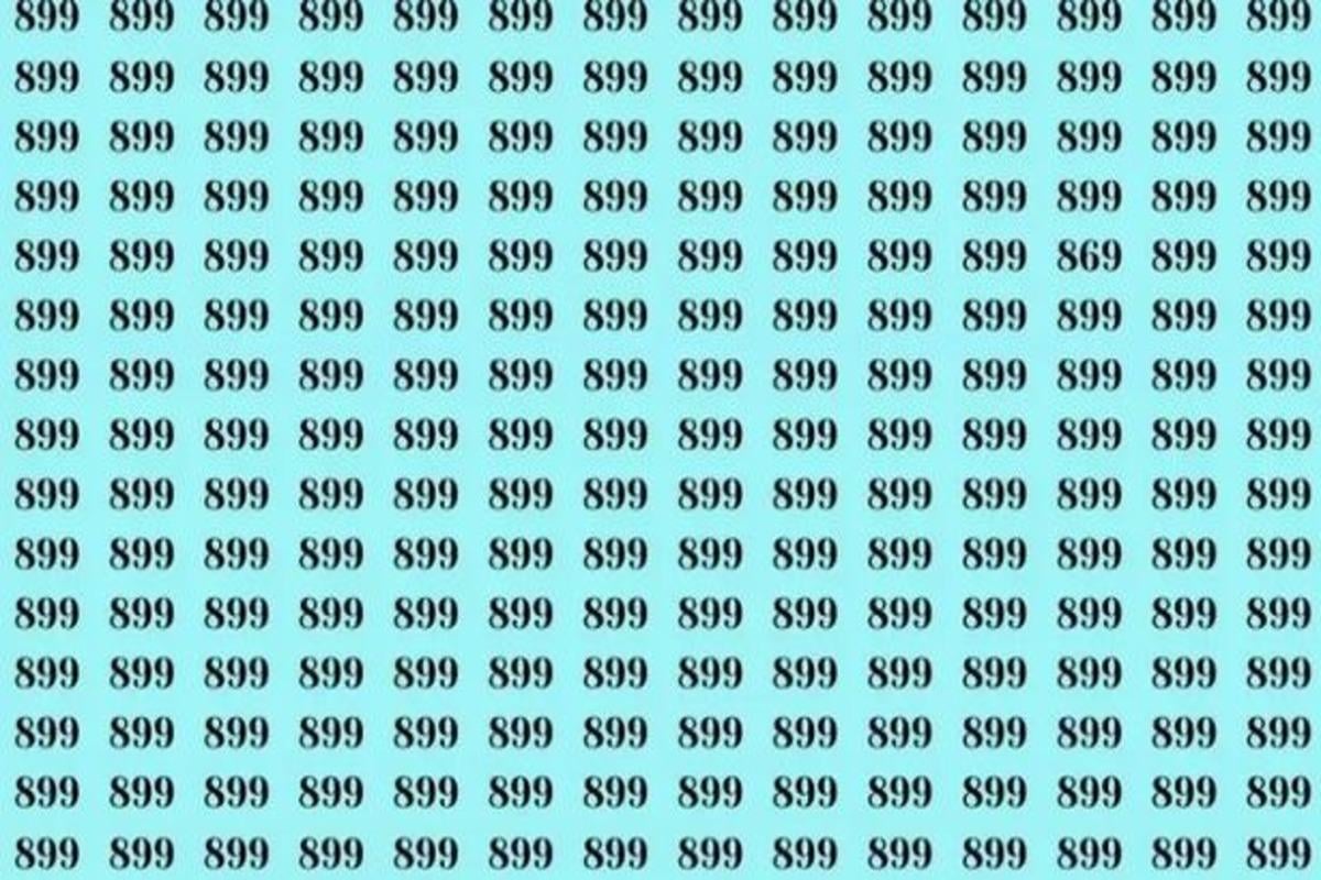 Du har en mycket hög IQ om du snabbt kan hitta numret 869 (foto)