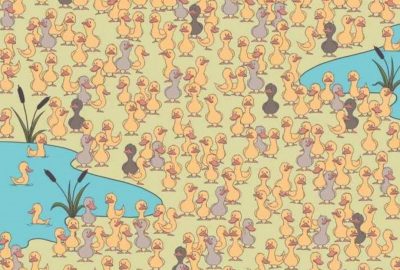 Ett pussel för roliga och påhittiga: du måste hitta en kyckling på 7 sekunder