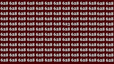 Ett pussel för supersmarta: hitta talet 623 på bara 32 sekunder